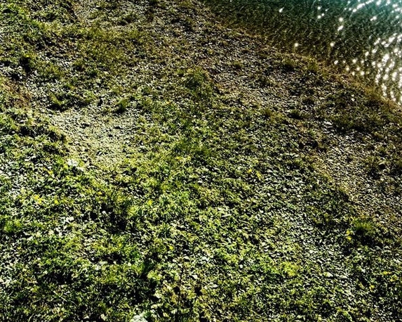 佳木斯粉象生活推广