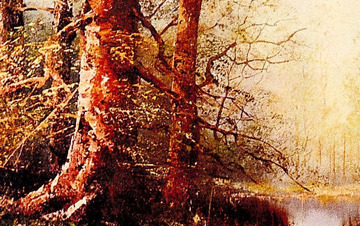 拼多多有生活缴费功能吗