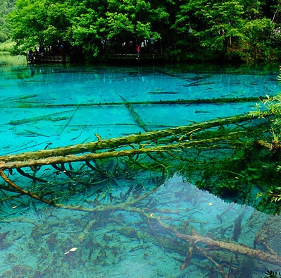 粉象生活怎么脱离上级