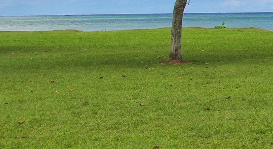 粉象平台靠谱吗