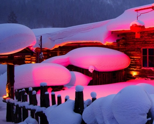 怎么用粉象生活去加油省钱