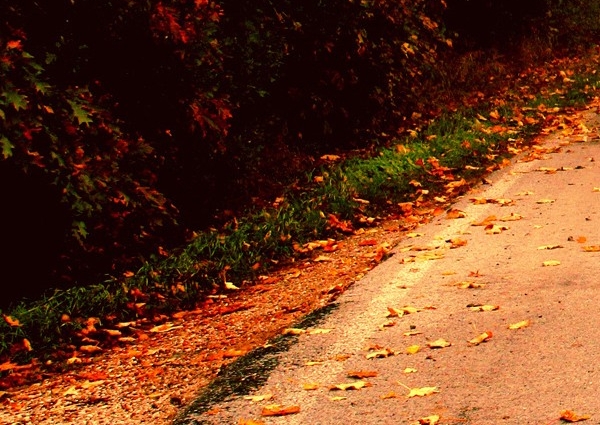 粉象生活头像制作