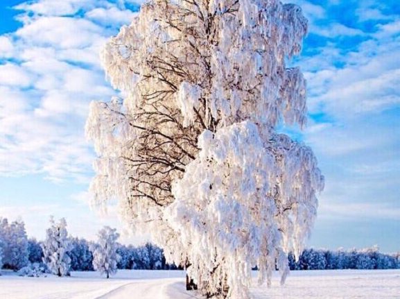 粉象生活犯法吗