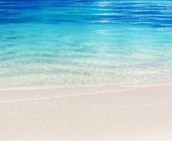 新手粉象生活怎么赚钱