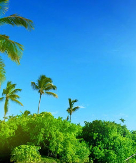 粉象生活公司简介粉象生活