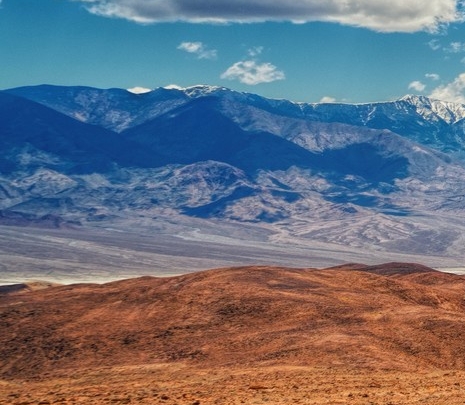 山东粉象生活是什么