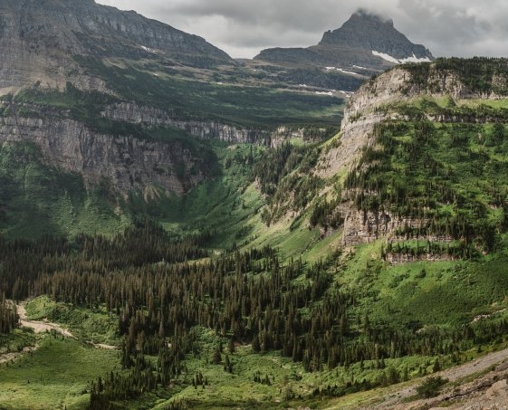 下载粉象生活有没有风险