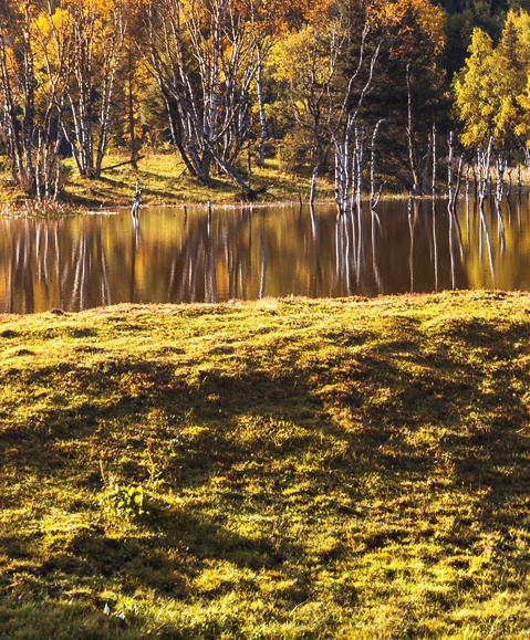 粉象生活买东西怎么分享