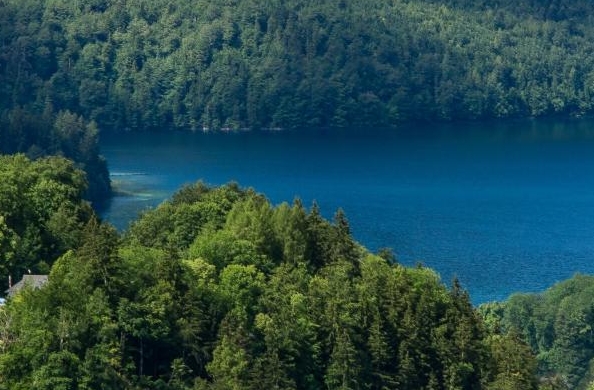 江苏品质粉象生活官网