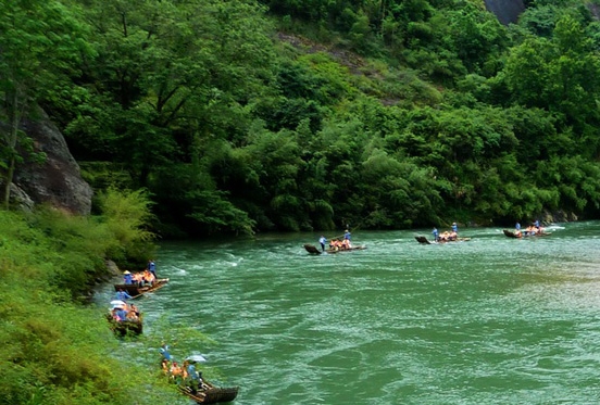 粉象生活 淘宝授权 安全吗