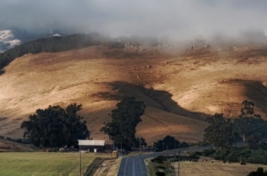 粉象生活买东西怎么退货