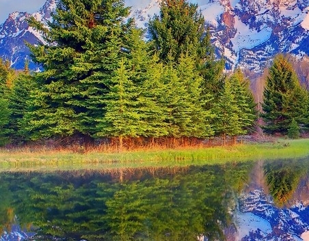 粉象生活怎么推