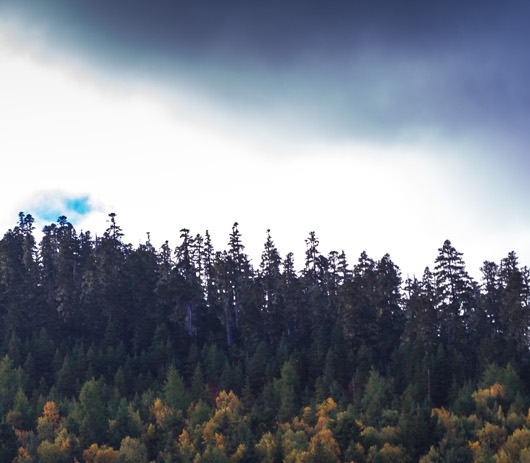 粉象生活下载app