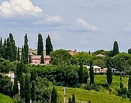 丽水选择粉象生活线上推广