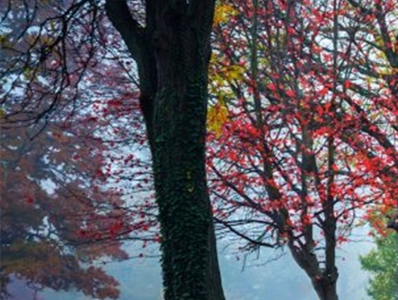 水象分期怎么样靠谱吗