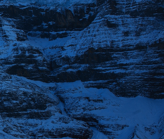 粉象生活下载app