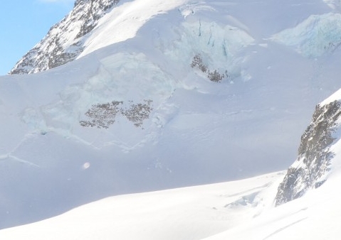 粉象生活提成模式粉象生活