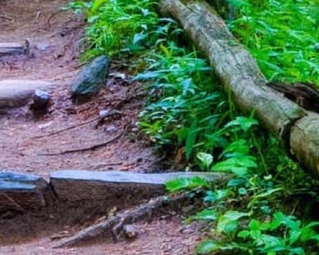 粉象生活月入多少