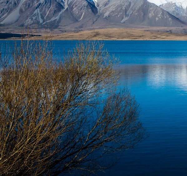 粉象生活可以赚钱吗