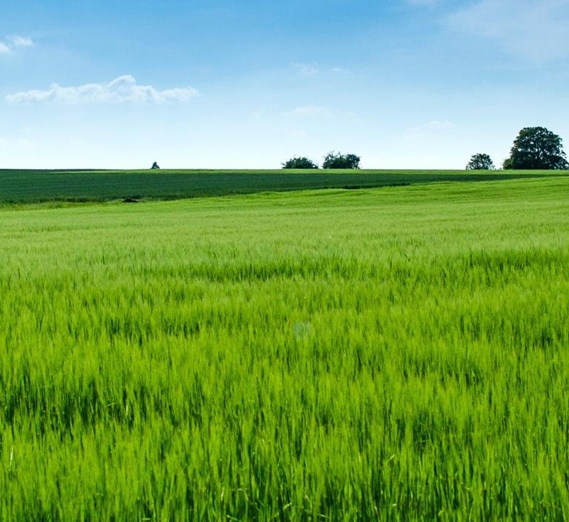 粉象生活是个什么东西