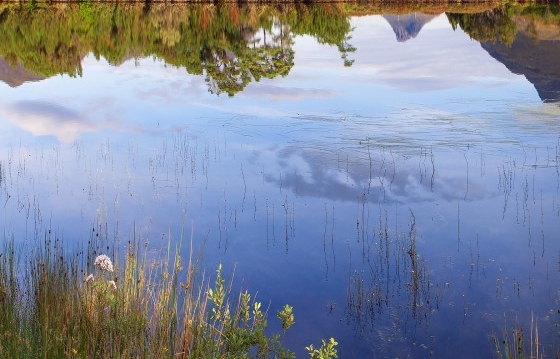 粉象生活不升级会员可以用吗