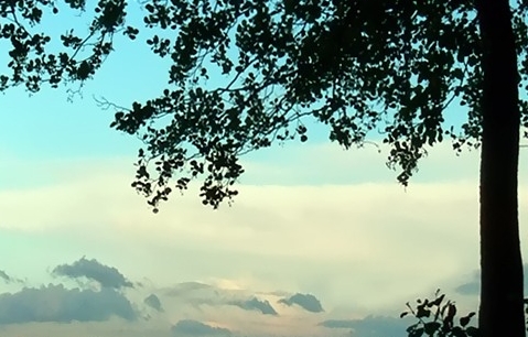 粉象生活app真的假的