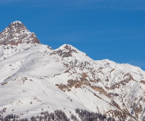 找粉象生活推荐码