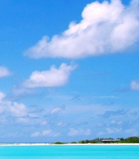 粉象生活怎么看上级邀请码