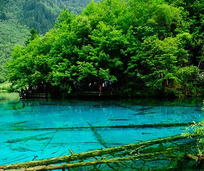 粉象生活的东西是真的假的