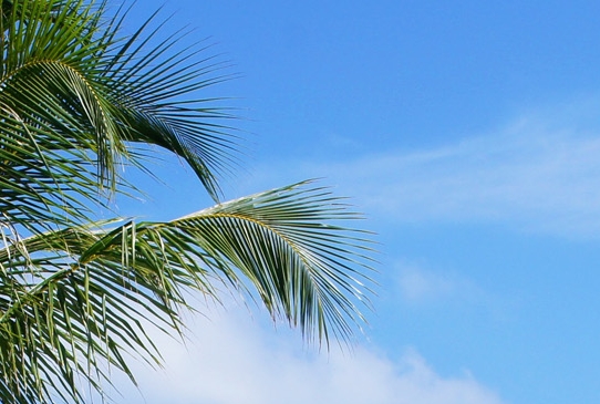 粉象生活下载app