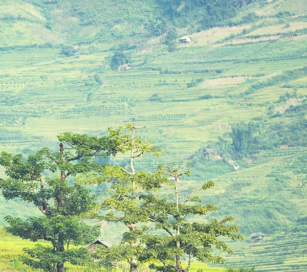 辽宁句美象娱乐