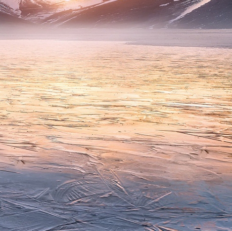 粉象生活是正规软件吗