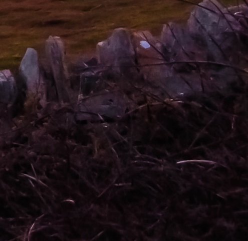 粉象生活新理念图片