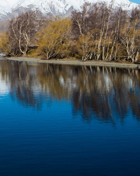 粉象生活怎么签到