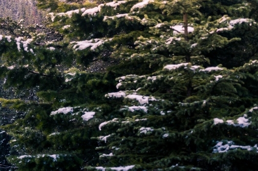 粉象生活邀请码