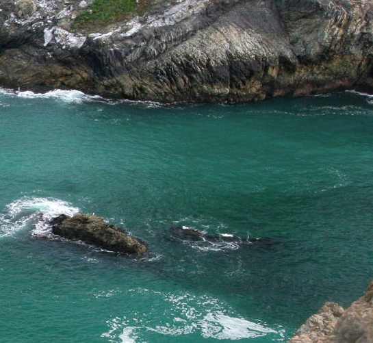 粉象生活怎么赚钱