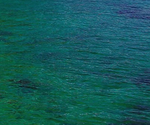 粉象生活下载app