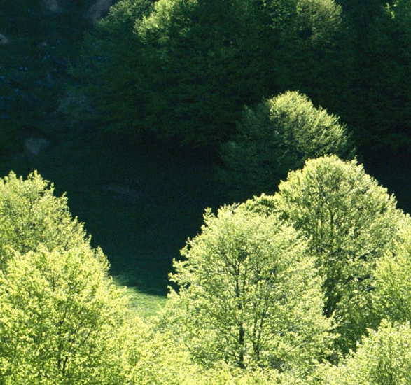 粉象生活赚钱教程