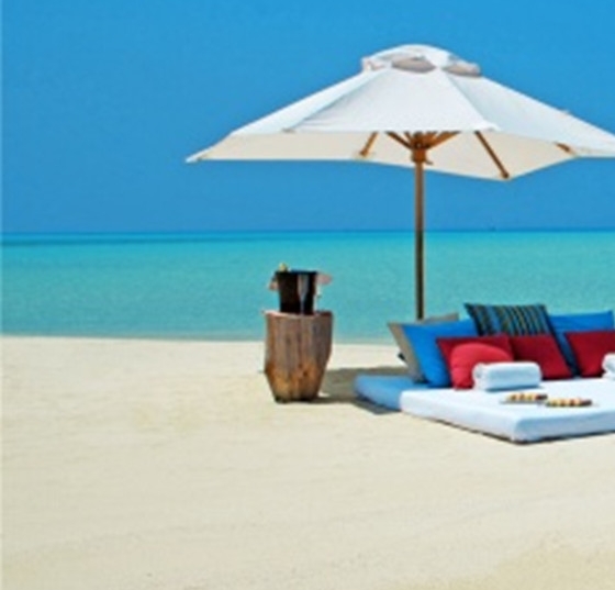 粉象生活399升级会员