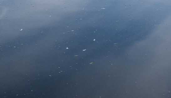 粉象生活赚钱容易吗