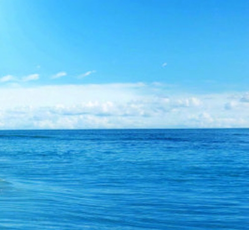 粉象生活可以赚钱吗