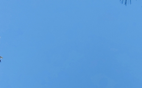 粉象生活可以赚钱吗