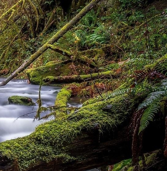 粉象生活卖什么东西好