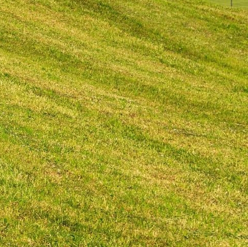 粉象生活早安寄语