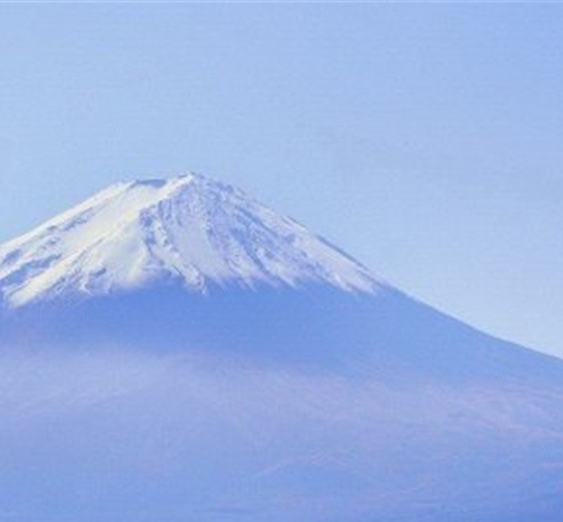 粉象生活信用卡怎么查物流