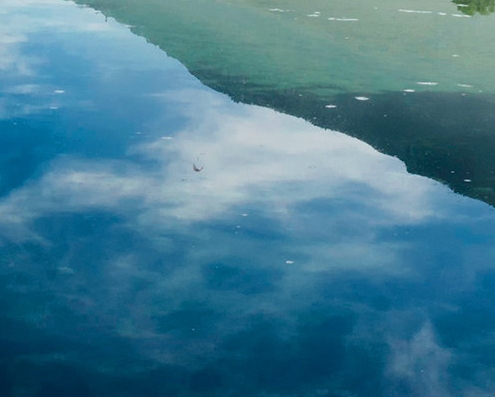 粉象生活邀请码