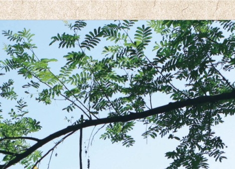 粉象生活如何退出