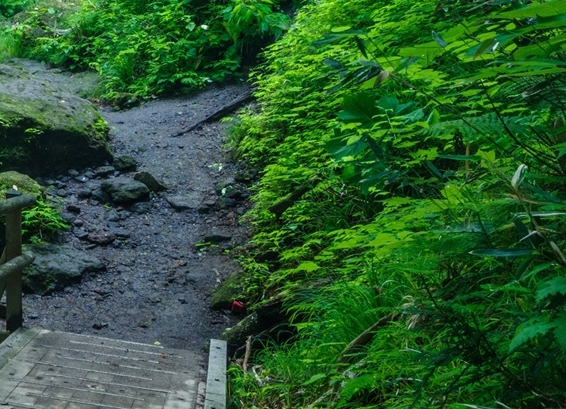 粉象生活可以赚钱吗