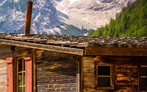 粉象生活秒杀技巧