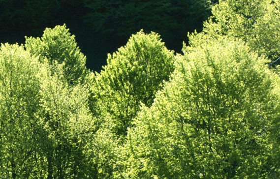 粉象生活下载app